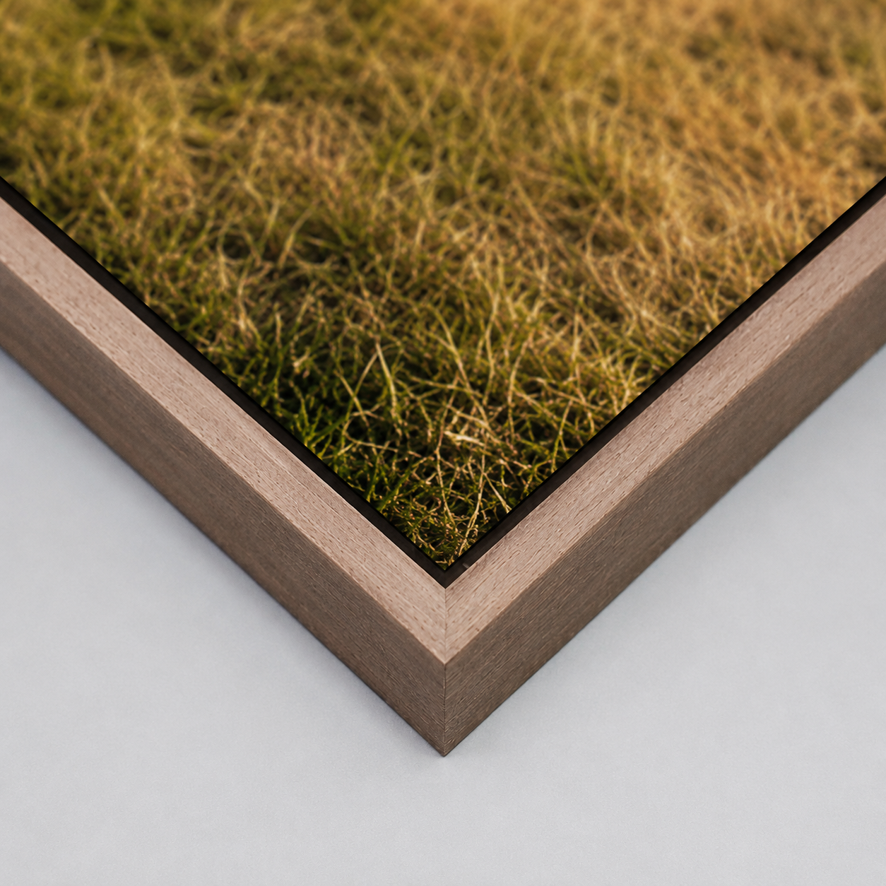 Fine art print #001