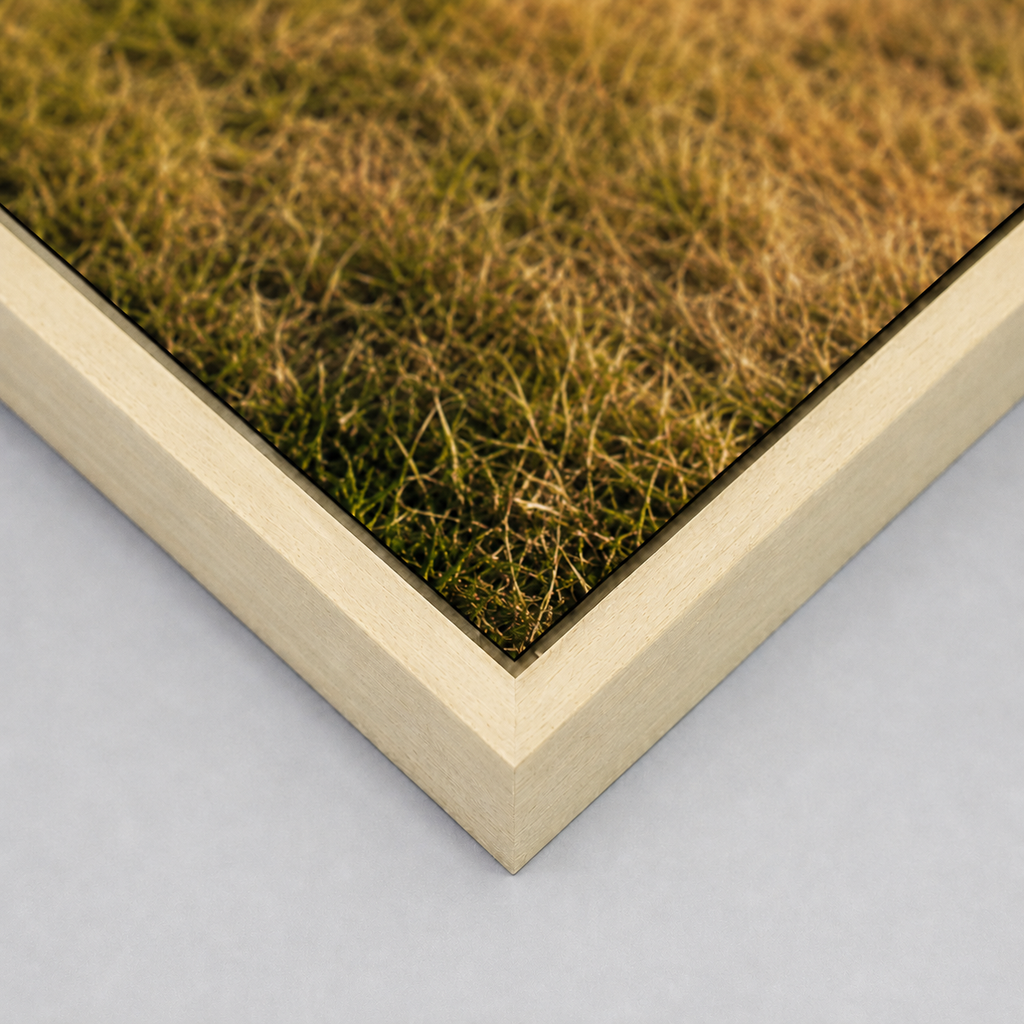 Fine art print 'Appelmand' #014