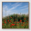 Fine art print 'Klaprozen en uien' #002