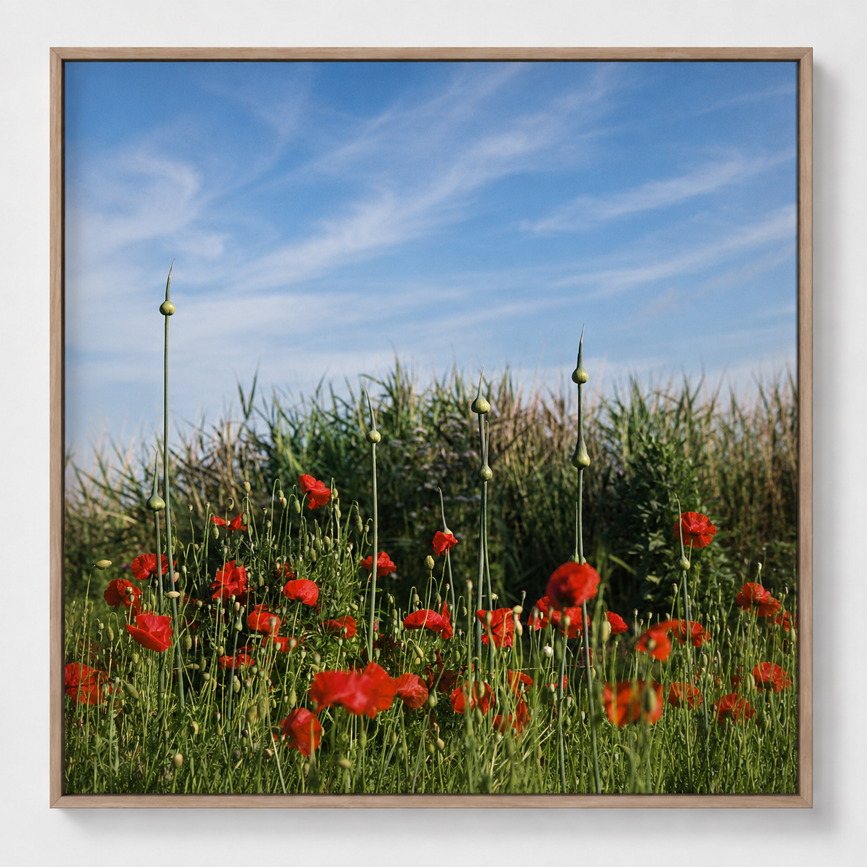 Fine art print 'Klaprozen en uien' #002