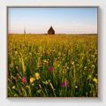 Fine art print 'Orchideeën in het hooilandje' #016