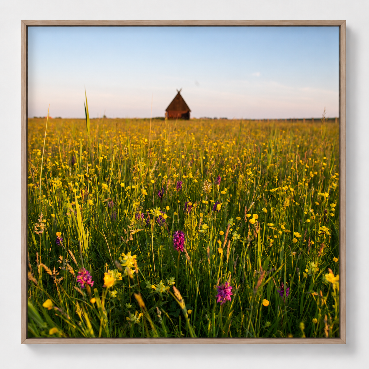 Fine art print 'Orchideeën in het hooilandje' #016