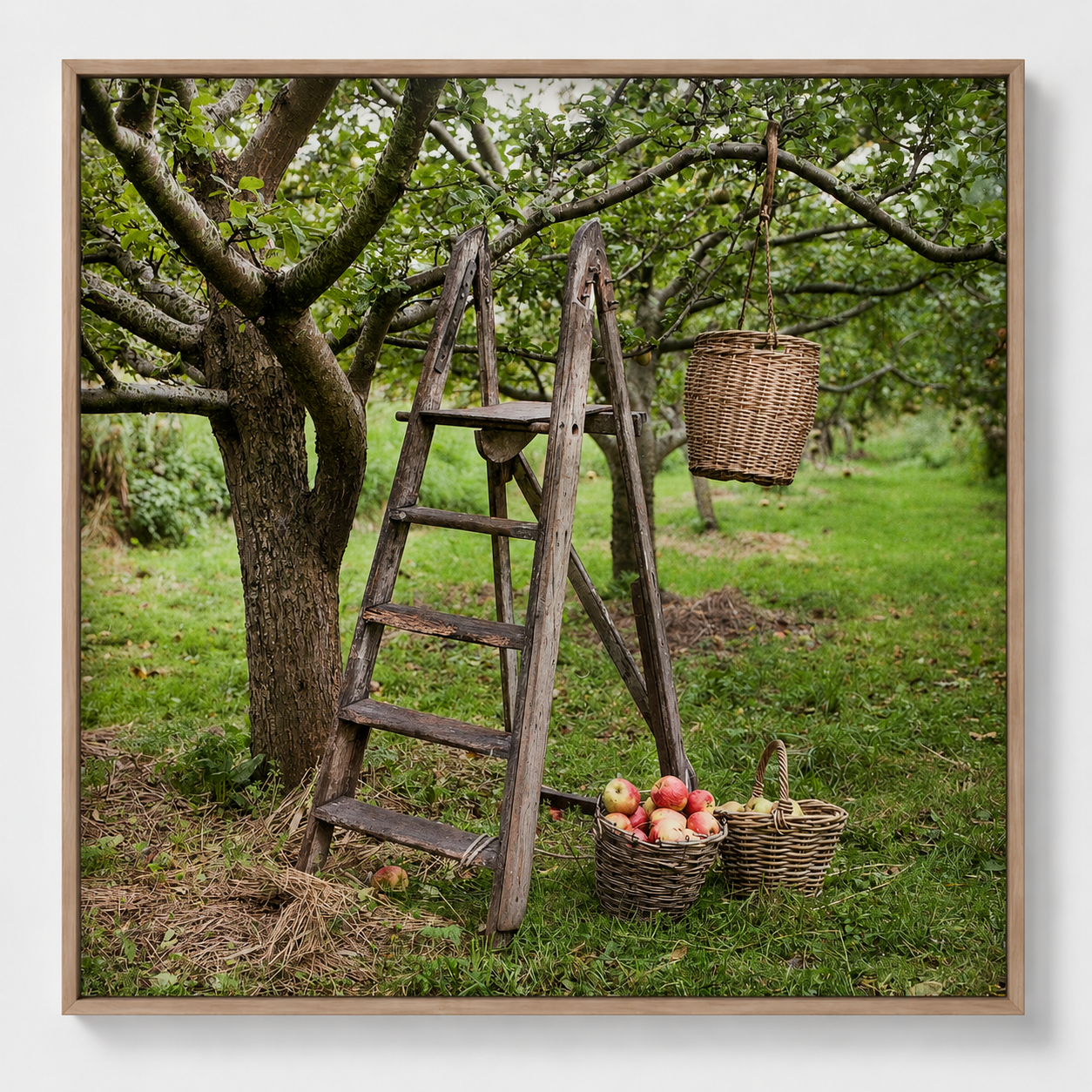 Fine art print 'Appelmand' #014