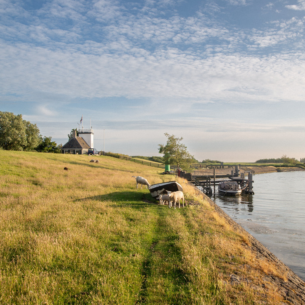 Fine art print #01 'Hylperdijk'